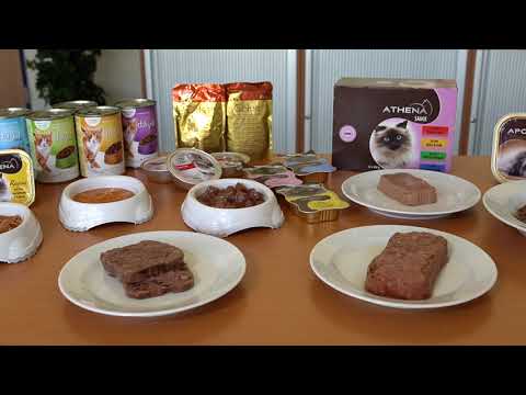 Saturn Petcare Bremen